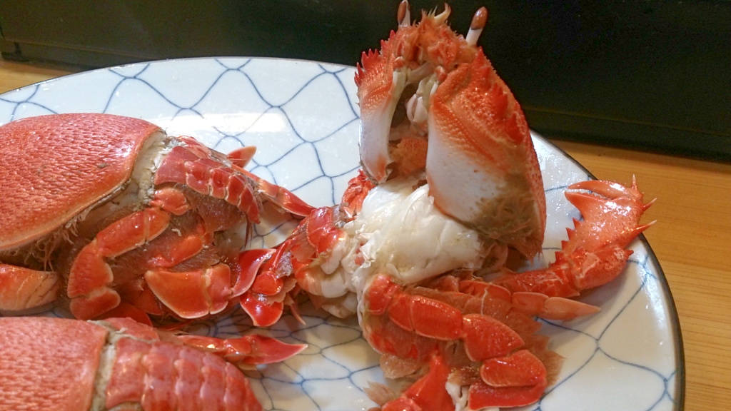 鱧のキモ・胃袋・卵