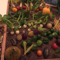 糸島野菜ビュッフェ