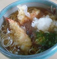 えび天おろしうどん