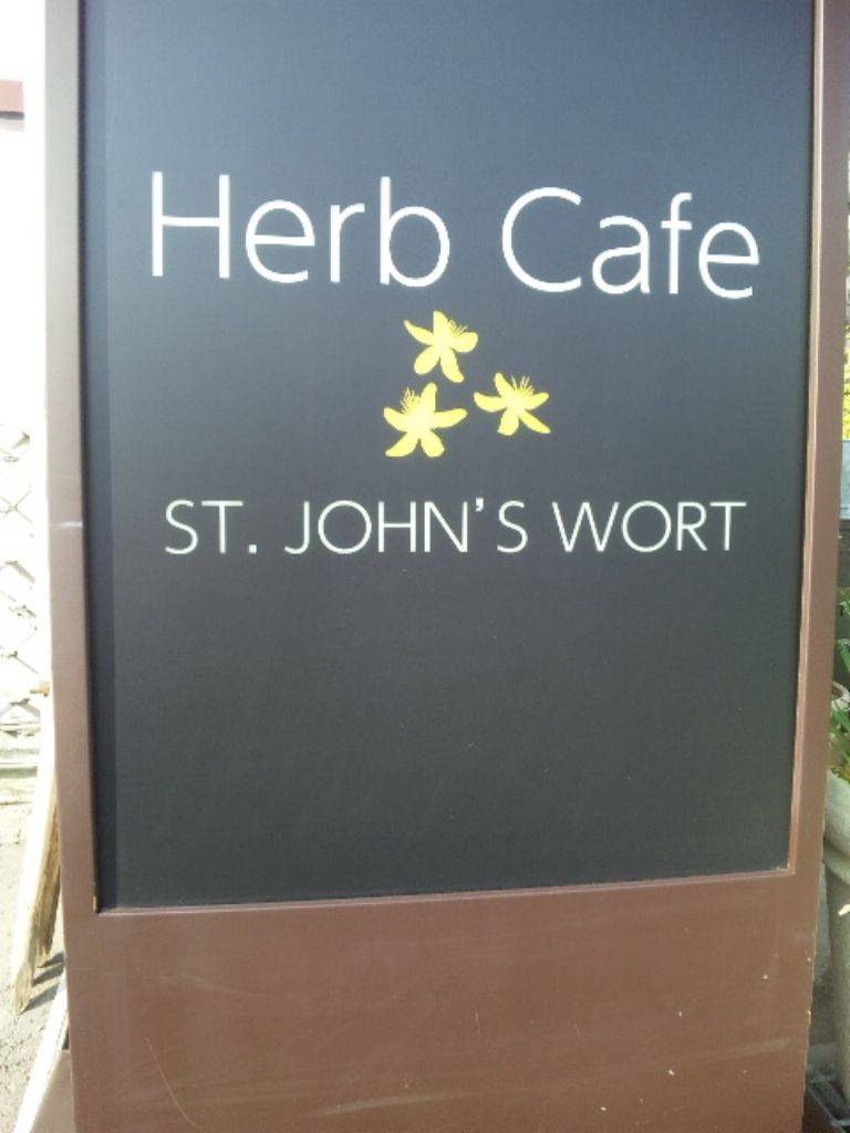 ST.JOHN’S WORT