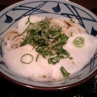 とろ玉うどん