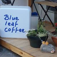 Blue  leaf  coffee