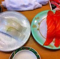 イカとサーモン