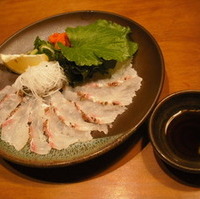 鯛の薄造り