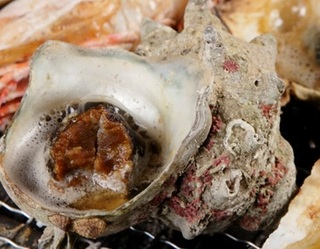 山口県産 さざえ