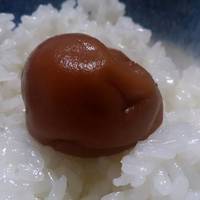 はちみつ極大うめぼし