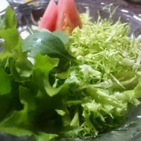 グリーンサラダ