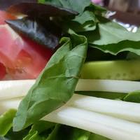 フレッシュトマトのサラダ