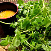 馬鹿盛りクレソン