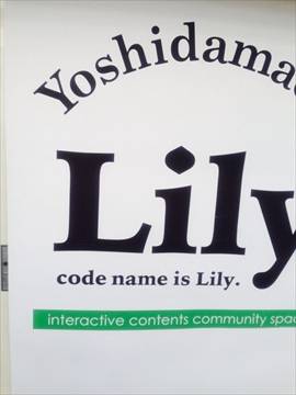 yoshidamachi lily