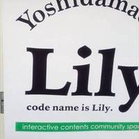 yoshidamachi lily