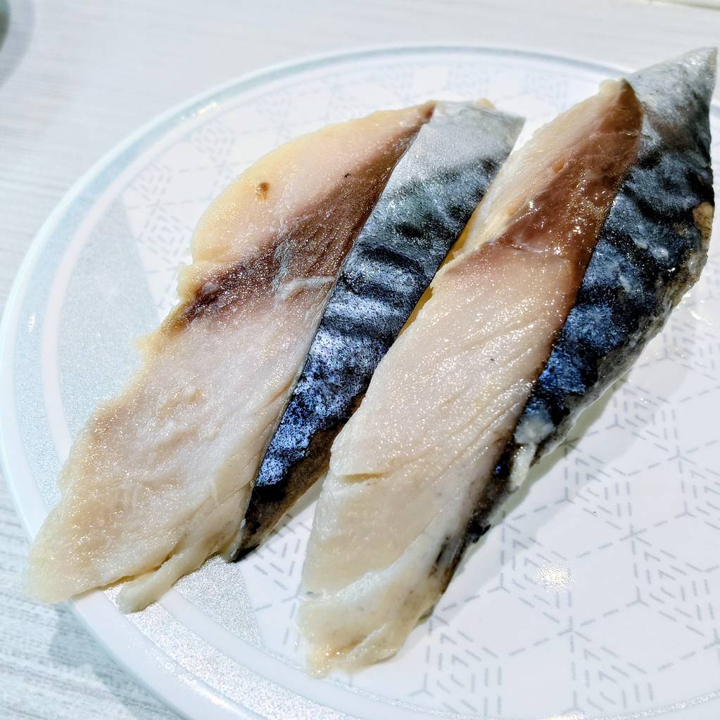 京都舞鶴港水揚げ しめさば