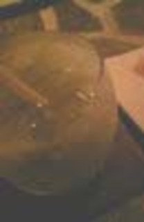 キウイ＆グレープフルーツカクテル