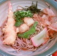 冷しえび天おろしうどん定食
