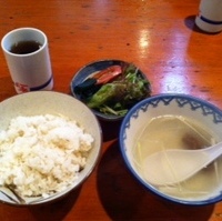 タンシチュー定食