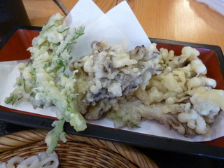 100日舞茸天ざるうどん