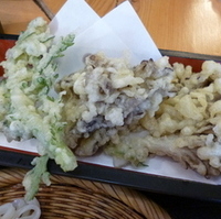 100日舞茸天ざるうどん