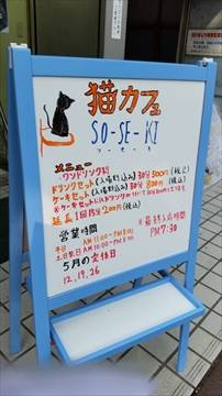 猫カフェ SO-SE-KI