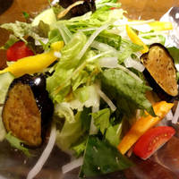 熊本産　彩り野菜のサラダ