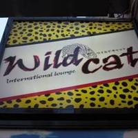 Wild　Cat