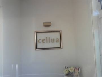 salon cafe Cellua