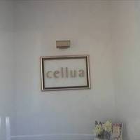 salon cafe Cellua