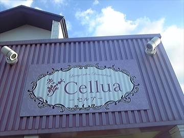 salon cafe Cellua