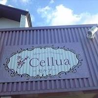 salon cafe Cellua