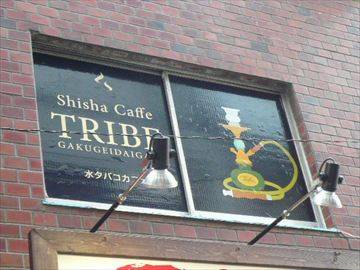 シーシャカフェ TRIBE 学芸大学