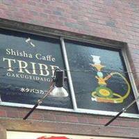 シーシャカフェ TRIBE 学芸大学