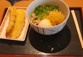 温玉ぶっかけうどん