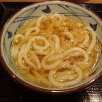 かけうどん