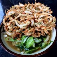 天ぷらうどん