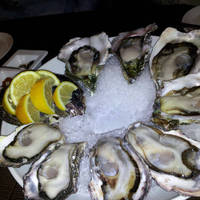 Ｏｙｓｔｅｒ　Ｐｌａｔｔｅｒ