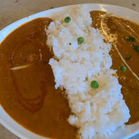 ダブルカレーライス
