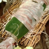 活スルメイカ姿造り