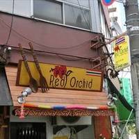 Red Orchid 赤羽店