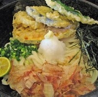 野菜天ぶっかけうどん（冷）