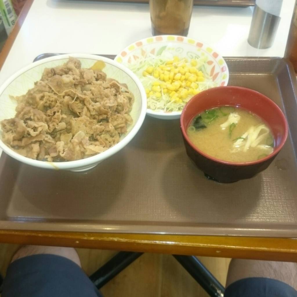 牛丼　サラダセット