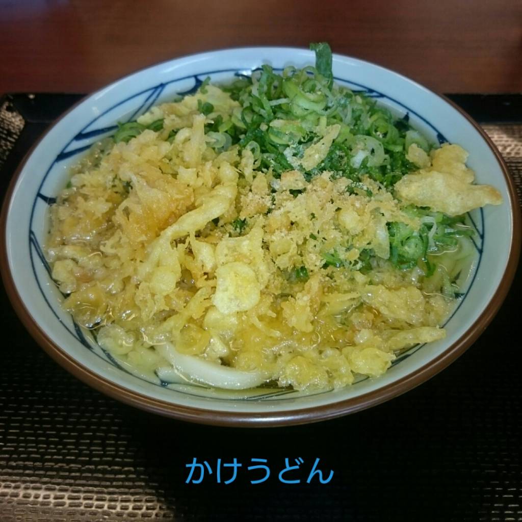 かけうどん（温）