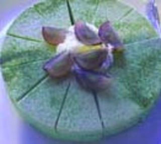 本日のケーキ 抹茶