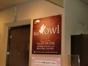 Bar Owl