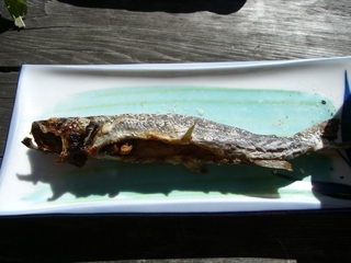 岩魚の塩焼き