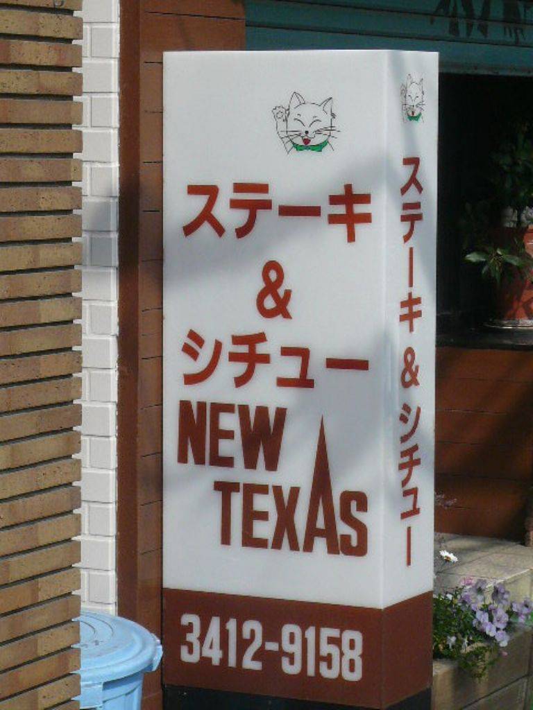 NEW TEXAS