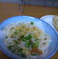 ぶっかけうどん