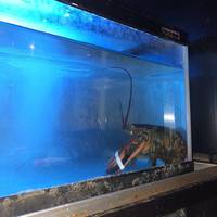 ステーキハウス グラン