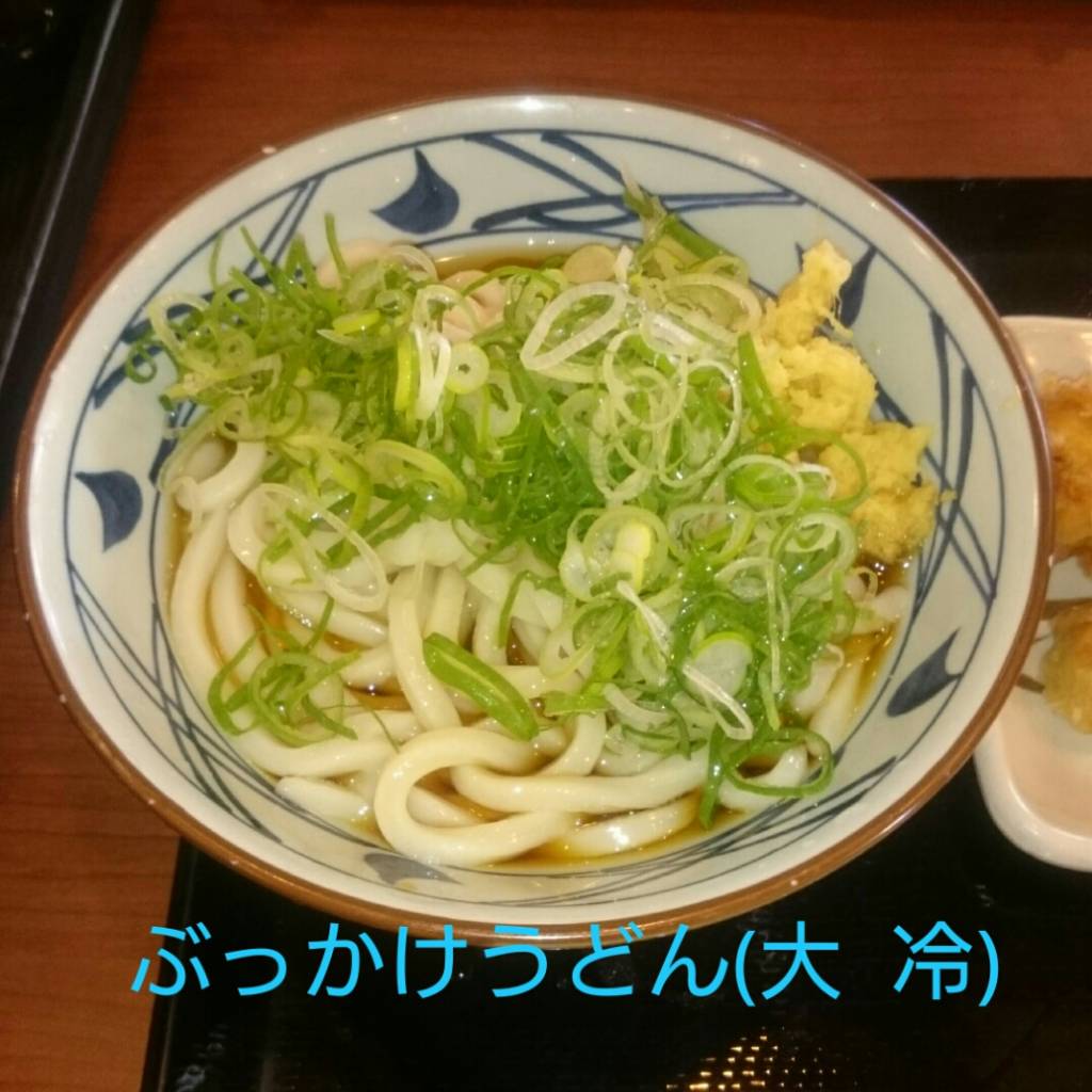 ぶっかけうどん（大・冷）