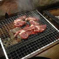 生ラムジンギスカン