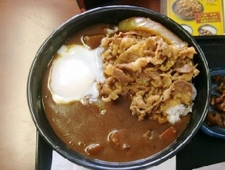 半玉牛丼カレー