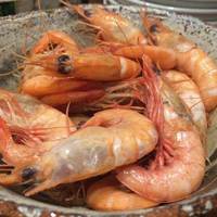 チキン南蛮フライ